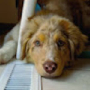 Meet your Posher, Meghen